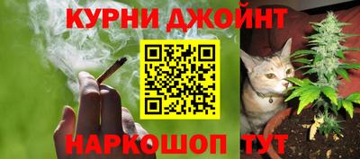 прущие грибы Северобайкальск