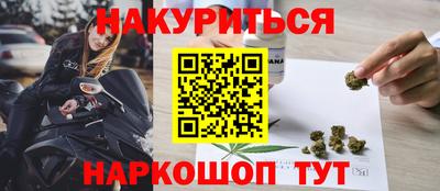 прущие грибы Северобайкальск