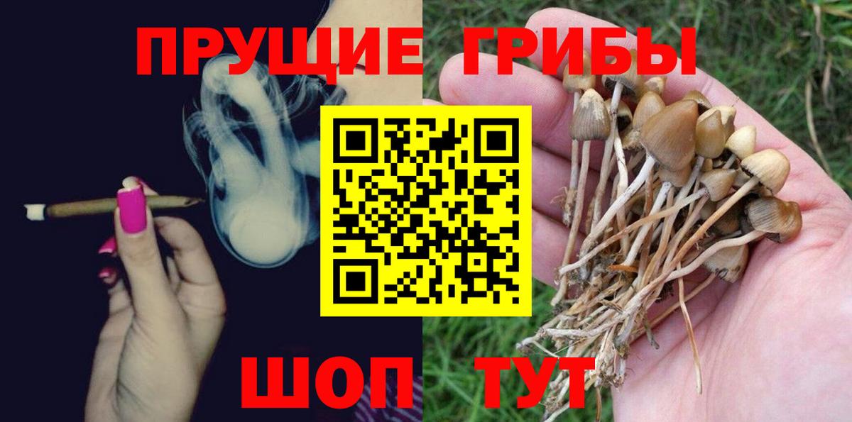 Галлюциногенные грибы мицелий  Галлюциногенные грибы Cubensis  Новороссийск  Вход с VPN 