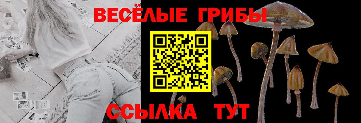 Галлюциногенные грибы GOLDEN TEACHER Новороссийск